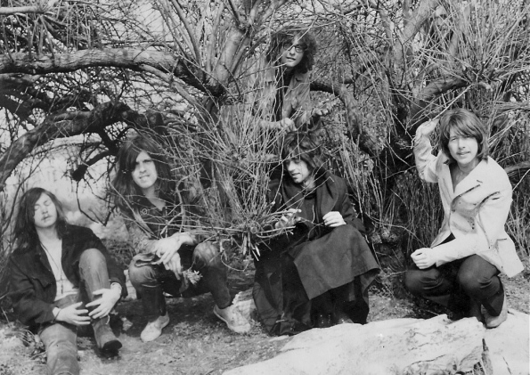 rosemary in the bushes at the rock gardens